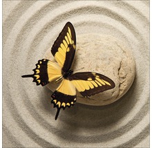 Ein gelber Schmetterling sitzt auf einem Stein im Sandgarten.