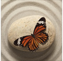 Papillon sur une pierre dans un jardin de sable