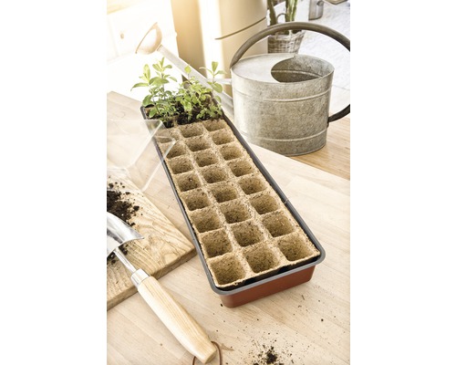 Plaque de semis avec jeunes plants, arrosoir et plantoir sur une table