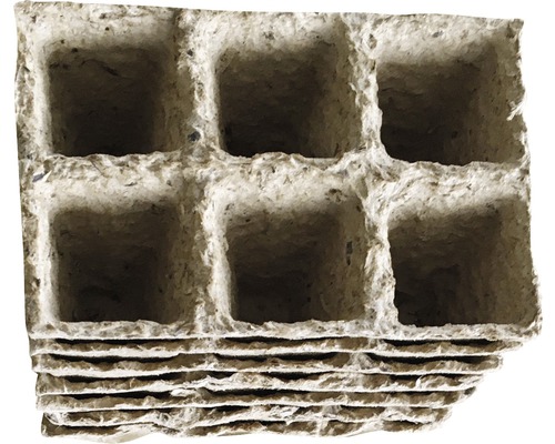 Plaque de pots de culture en papier avec six compartiments