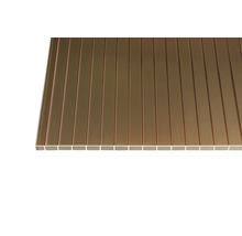 Panneau alvéolé/Plaque alvéolaire Gutta acrylique 32-16 bronze 4000 x 980 x 16 mm-thumb-1