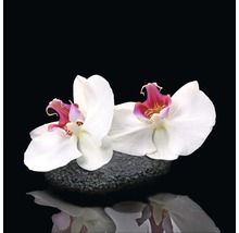 Glasbild White Orchid V 20x20 cm GLA1340
