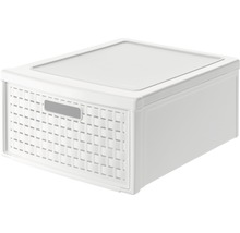 Boîte de rangement en plastique avec couvercle
