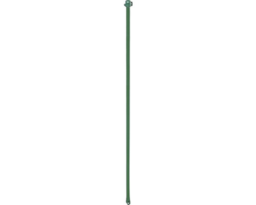 Pflanzstab, Universalstab ALBERTS Metall Ø 1,6 x 75 cm grün