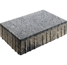 Pflasterstein