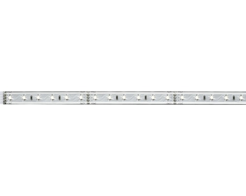 MaxLEMaxLED 500 Strip 1 m 440 lm 6500 K 72 LED revêtement extension du kit de base 24V, compatible Smart Home après extension