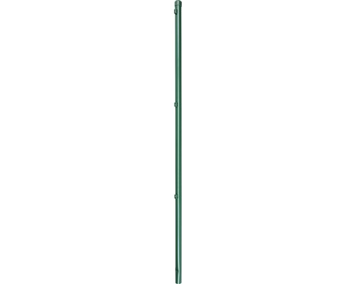 Poteau de clôture ALBERTS pour hauteur de treillis 125 cm, Ø 3,4 x 175 cm vert