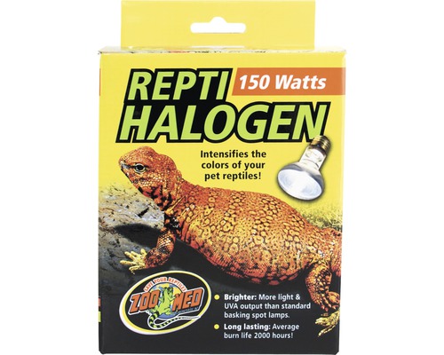 Spot halogène Repti, 150 W