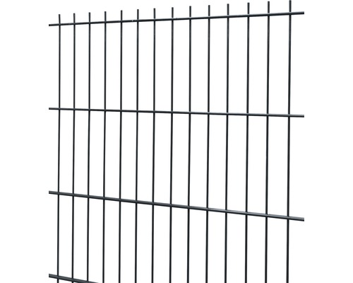 Clôture à grillage double 8/6/8 251 x 63 cm, anthracite Clôture à grillage double 8/6/8 251 x 63 cm, anthracite