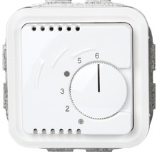 Raumthermostat zur Temperaturregelung