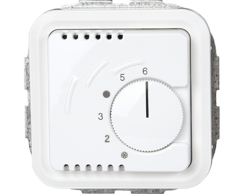 Raumthermostat zur Temperaturregelung