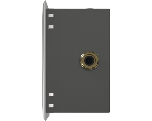 Audio-Wandeinbaubuchse