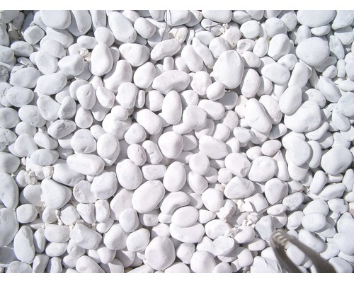Gravier de marbre Carrara 40-60 mm 500 kg blanc