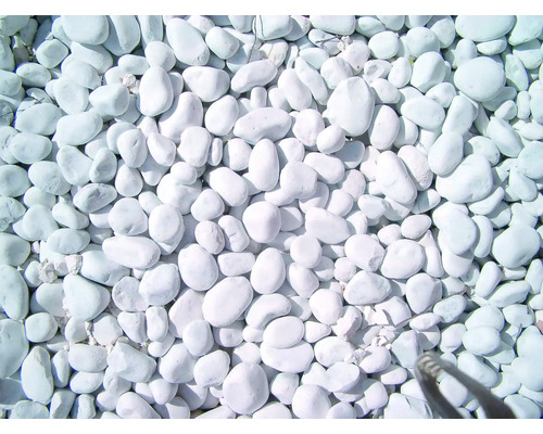 Marmorkies Carrara 40-60 mm 500 kg weiß Nahaufnahme von weißen Zierkieseln für den Gartenbau