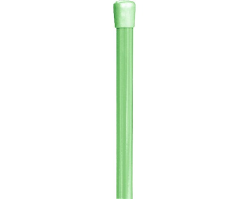Barre de tension pour grillage ALBERTS Ø 1 x 205 cm vert sapin Tube en plastique avec manchon