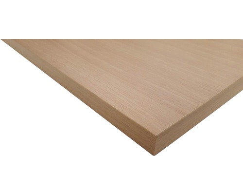 Regalboden Buche 19x400x1000 mm