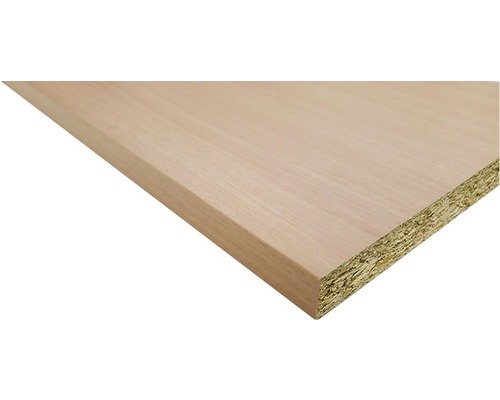Panneau d'ammeublement hêtre 19x200x2630 mm Panneau de particules non revêtu