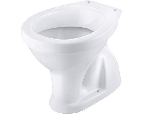 WC fixe à rinçage en profondeur Roma conduite verticale à l'intérieur blanc
