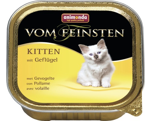Pâtée pour chat animonda qualité supérieure Kitten volaille 100 g