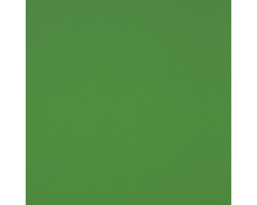 Plaque en mousse Hobbycolor vert 250 x 500 x 3 mm