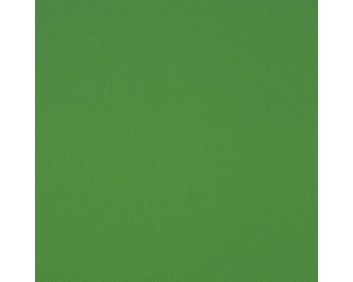 Hartschaumplatte Hobbycolor grün 250 x 500 x 3 mm Grüner Hintergrund