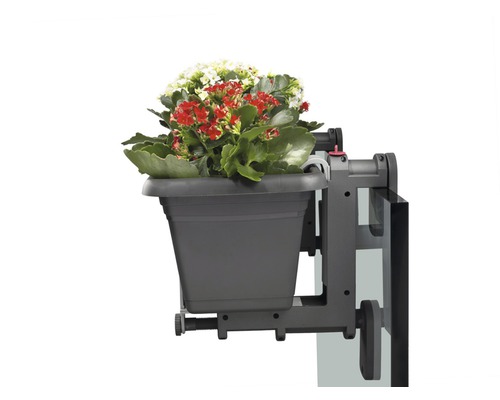 Blumenkasten mit Halterung und Pflanzen zur Befestigung am Balkongeländer