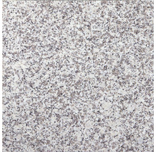 Granit Terrassenplatte grau 40 x 40 x 3 cm-thumb-4