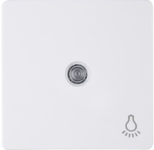 Schaltereinsatz mit Kontrollanzeige und Glühlampensymbol