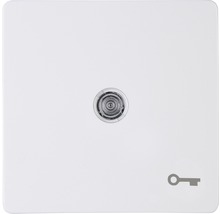 Schaltereinsatz mit Schlüssel