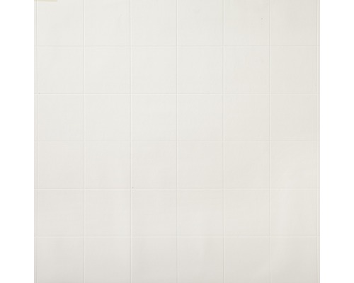 Carreaux de céramique rectangulaires sur un mur.