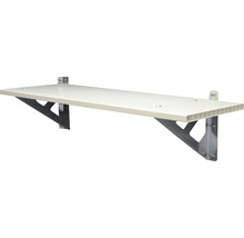 Étagère de travail Palram – Canopia pour remise à outils Skylight