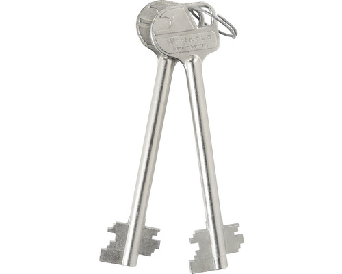 Deux clés sur un porte-clés