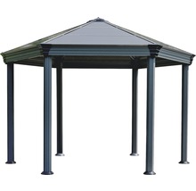 Pavillon avec toit pour le jardin