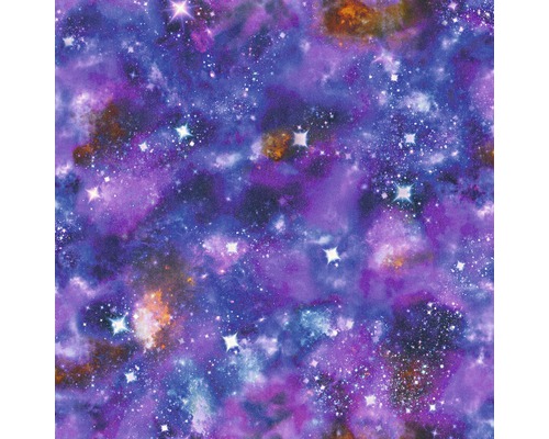 Papier peint 273205 Kids & Teens 2 Cosmos lilas