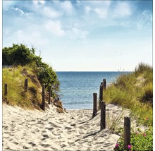Ein Sandweg führt zum Meer, flankiert von Dünen und hölzernen Pfosten