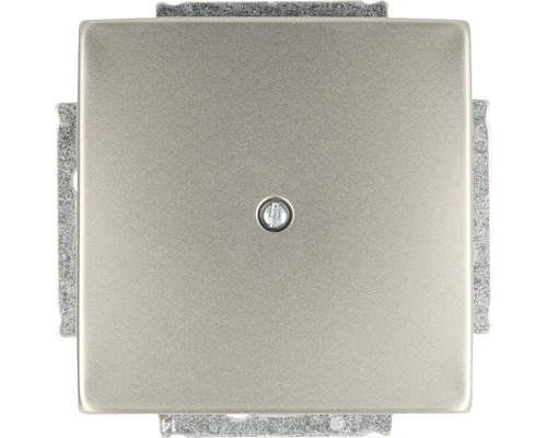 Cache aveugle Busch-Jaeger 1742-866 avec bague de support Pur acier inoxydable Cache pour un interrupteur