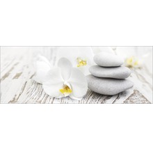 Dekorative Anordnung mit Orchideen und Steinen auf Holz