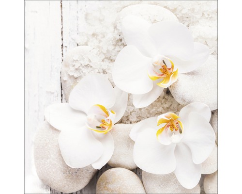 Nature morte avec fleurs d''orchidées, pierres et sels de bain