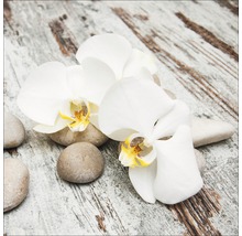 Weiße Orchideenblüten mit Steinen auf Holzuntergrund