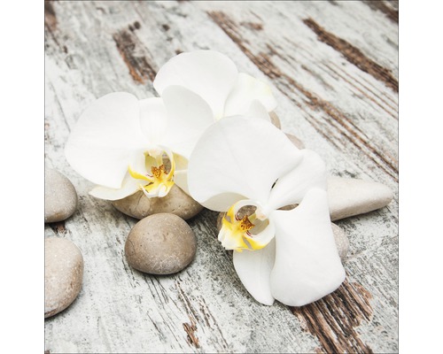 Weiße Orchideenblüten mit Steinen auf Holzuntergrund