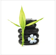 Pile de pierres noires avec pousses de bambou et fleur