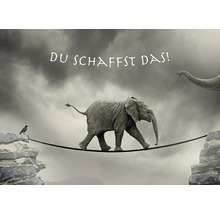 Image de motivation avec un éléphant sur une corde et le dicton ''Tu peux le faire!''