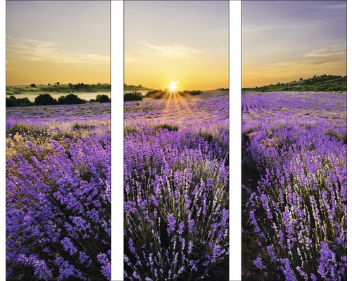 Tableau en verre Beautiful Lavendel set de 3 3x 30x80 cm GLA919