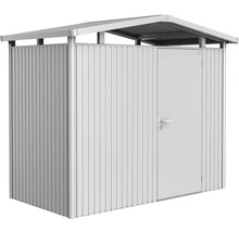 Metallgerätehaus mit Tür zur Aufbewahrung von Gartengeräten