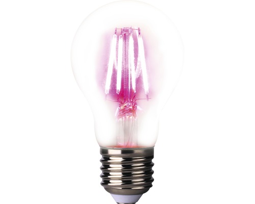 Ampoule LED pour plantes A60 E27/4 W