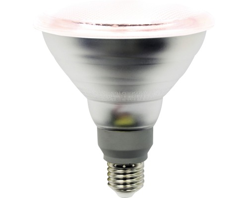 Ampoule à réflecteur LED pour plantes PAR38 E27/12W 70°