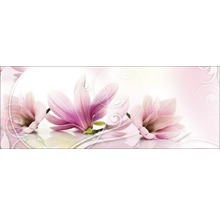 Tableau en verre Magnolia 30x80 cm