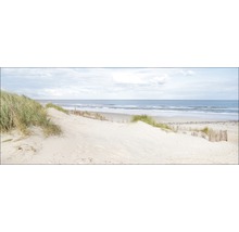 Dune avec des oyats sur la plage