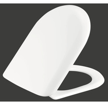 Abattant de WC en céramique sanitaire