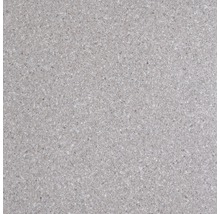 Carreau de sol gris avec surface mouchetée